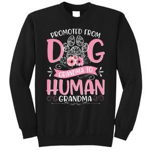 Promoted From Dog Grandma To Human Mother's Day Tall Sweatshirt