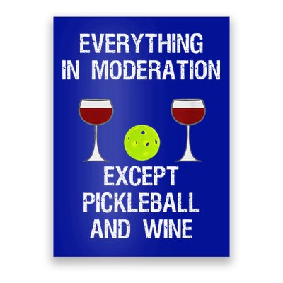 Pickleball Funny Dinking Problem Vintage Poster