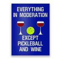 Pickleball Funny Dinking Problem Vintage Poster