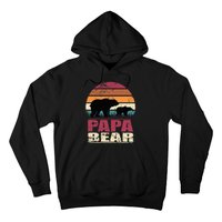 Papabear Family Daddy Bear Newborn Baby Fatherhood Papa Bear Hoodie