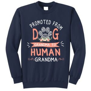 Promoted From Dog Grandma To Human Grandma Mother's Day Sweatshirt