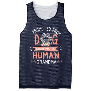 Promoted From Dog Grandma To Human Grandma Mother's Day Mesh Reversible Basketball Jersey Tank