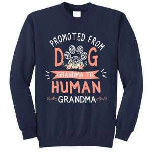 Promoted From Dog Grandma To Human Grandma Mother's Day Tall Sweatshirt