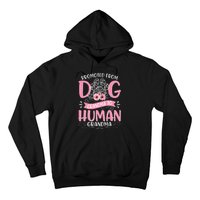 Promoted From Dog Grandma To Human Grandma Mother's Day Hoodie