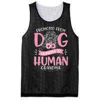 Promoted From Dog Grandma To Human Grandma Mother's Day Mesh Reversible Basketball Jersey Tank