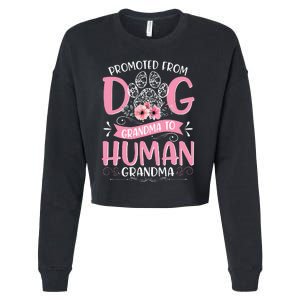 Promoted From Dog Grandma To Human Grandma Mother's Day Cropped Pullover Crew