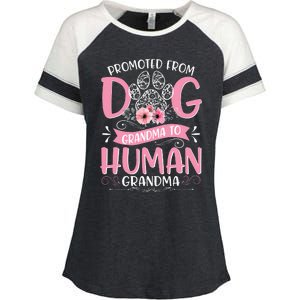 Promoted From Dog Grandma To Human Grandma Mother's Day Enza Ladies Jersey Colorblock Tee