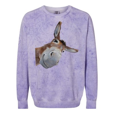 Peachbruh Funny Donkey Art Donkey Head Smile Eagerlys Colorblast Crewneck Sweatshirt