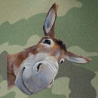 Peachbruh Funny Donkey Art Donkey Head Smile Eagerlys Legacy Tie Dye Trucker Hat