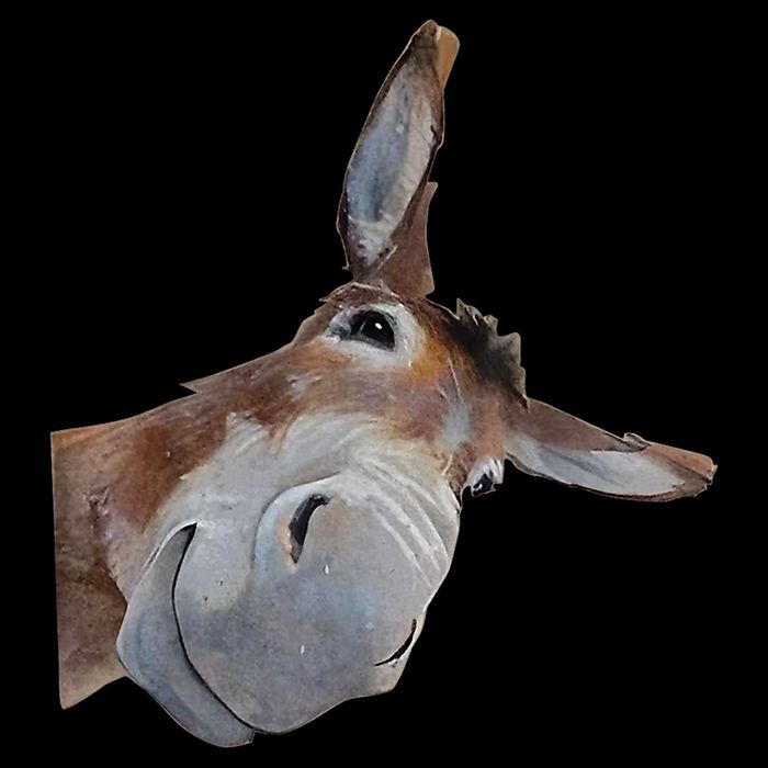 Peachbruh Funny Donkey Art Donkey Head Smile Eagerlys 16 in Basic Backpack