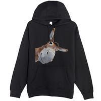 Peachbruh Funny Donkey Art Donkey Head Smile Eagerlys Premium Pullover Hoodie