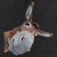 Peachbruh Funny Donkey Art Donkey Head Smile Eagerlys 25L Jumbo Tote