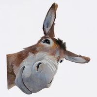 Peachbruh Funny Donkey Art Donkey Head Smile Eagerlys Garment-Dyed Sweatshirt