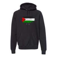 Palestine Flag Free Palestine Premium Hoodie