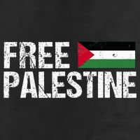 Palestine Flag Free Palestine Adult Drive Performance Visor