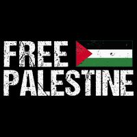 Palestine Flag Free Palestine Cooling Performance Long Sleeve Crew