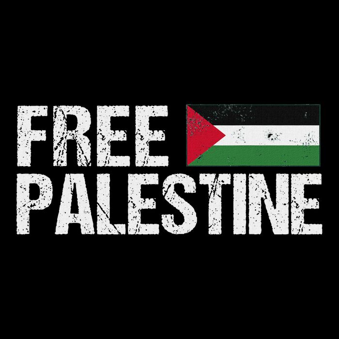 Palestine Flag Free Palestine Cooling Performance Crew T-Shirt