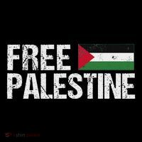 Palestine Flag Free Palestine Short Acrylic Beanie