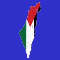 Palestine Flag Free Palestine Gift 16 in Basic Backpack