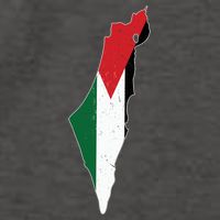 Palestine Flag Free Palestine Gift Vector Backpack