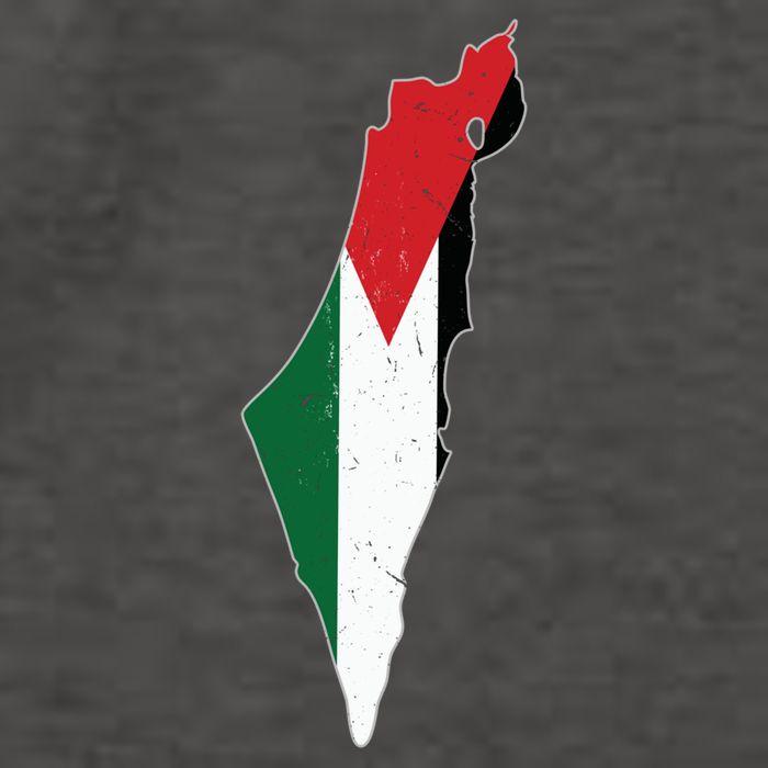 Palestine Flag Free Palestine Gift Vector Backpack