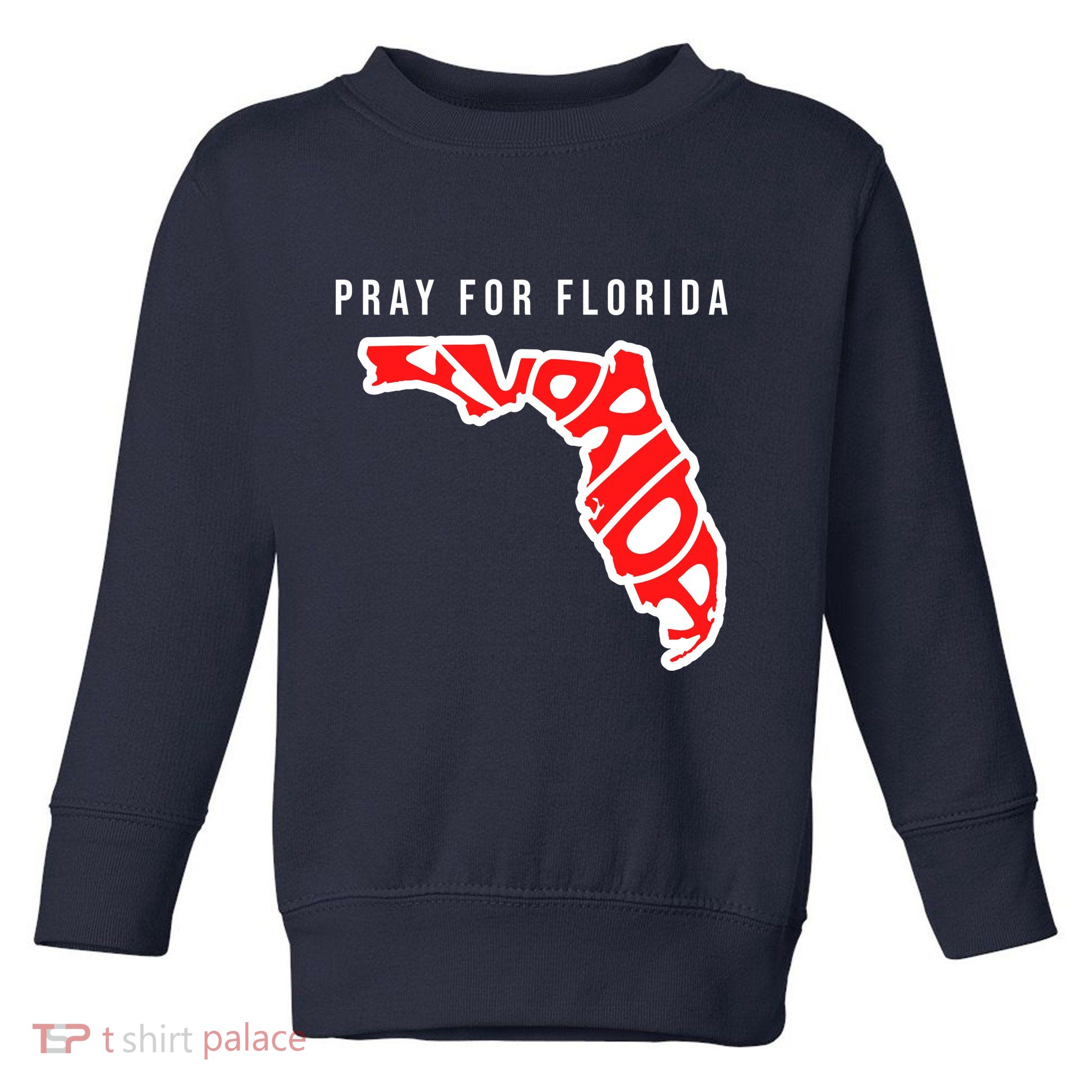 Pray For Florida Hurricane IAN Survivor Toddler Sweatshirt