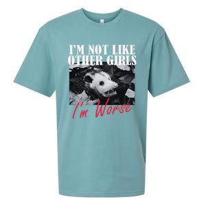 Possum Funny Graphicn Im Not Like Other Im Worse Sueded Cloud Jersey T-Shirt