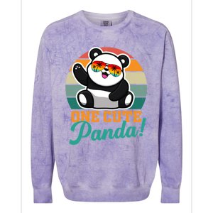 Panda Funny Gift National Panda Day Meaningful Gift Colorblast Crewneck Sweatshirt