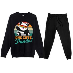 Panda Funny Gift National Panda Day Meaningful Gift Premium Crewneck Sweatsuit Set