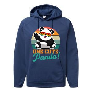 Panda Funny Gift National Panda Day Meaningful Gift Performance Fleece Hoodie