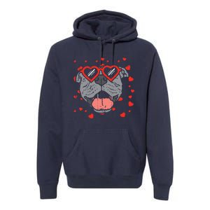 Pitbull Face Heart Glasses Valentines Day Pet Dog Lover Premium Hoodie