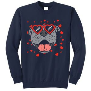 Pitbull Face Heart Glasses Valentines Day Pet Dog Lover Tall Sweatshirt