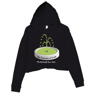 Pickleball For Life Fountain Green Crop Fleece Hoodie