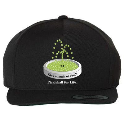Pickleball For Life Fountain Green Wool Snapback Cap