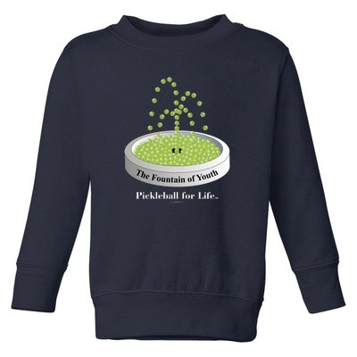 Pickleball For Life Fountain Green Toddler Sweatshirt