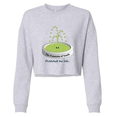 Pickleball For Life Fountain Green Cropped Pullover Crew