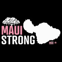 Pray For Maui Hawaii Strong Cooling Performance Crew T-Shirt