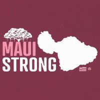 Pray For Maui Hawaii Strong 16oz Travel Tumbler