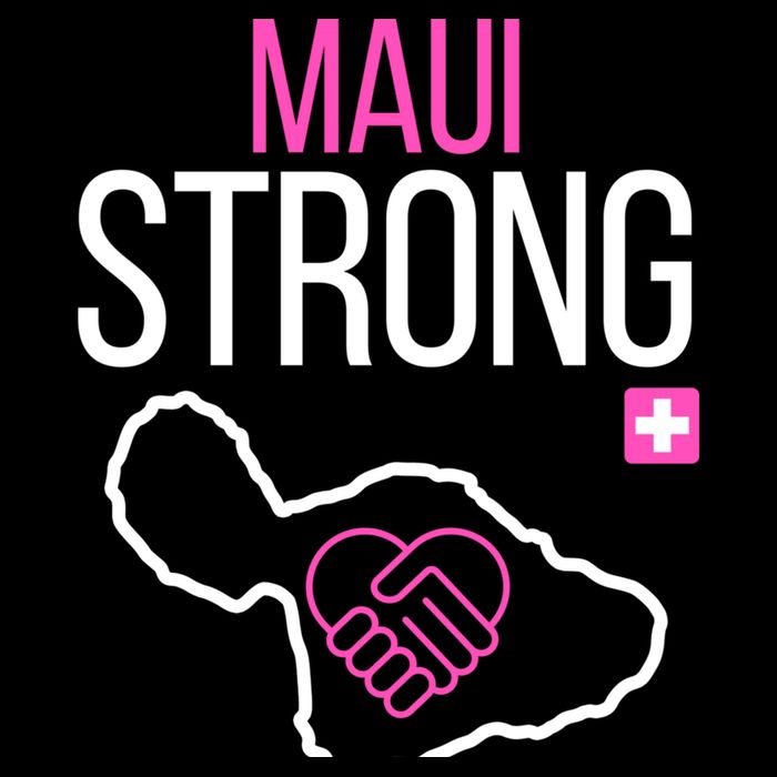 Pray For Maui Hawaii Strong Poster