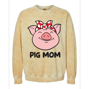 Pig Farmer Mom Love Pigs Pig Mom Cute Pig Lovers Gift Colorblast Crewneck Sweatshirt