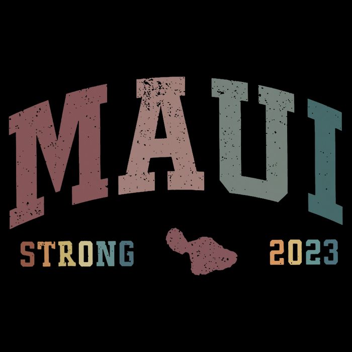 Pray For Maui Hawaii Strong Lahaina Fires Donate 16 in Basic Backpack