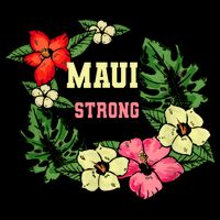 Pray For Maui Hawaii Strong Hawaiian Floral Premium T-Shirt