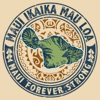 Pray For Maui Hawaii Strong Zip Tote Bag