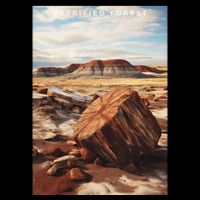 Petrified Forest National Park Drawstring Bag