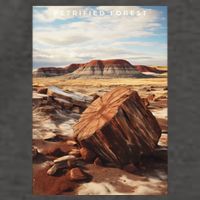 Petrified Forest National Park Vector Backpack