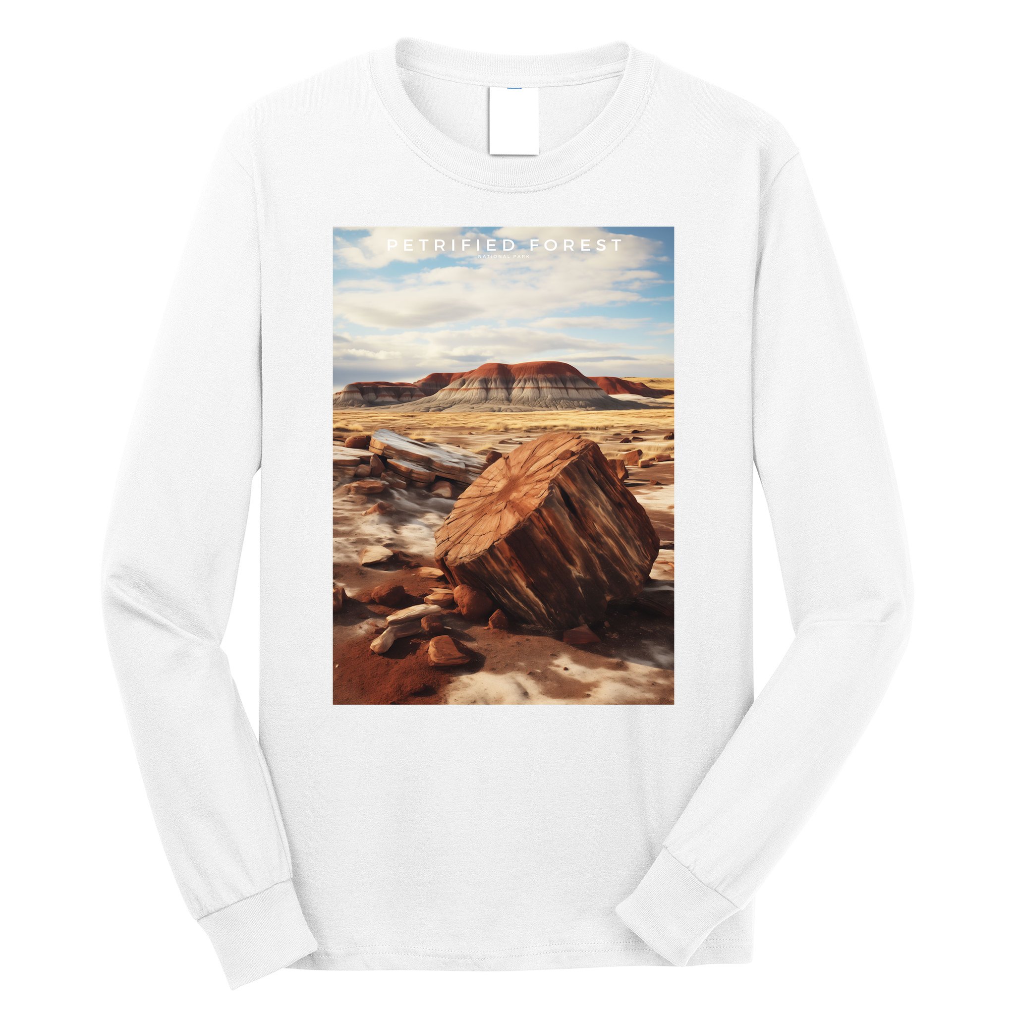 Petrified Forest National Park Long Sleeve Shirt