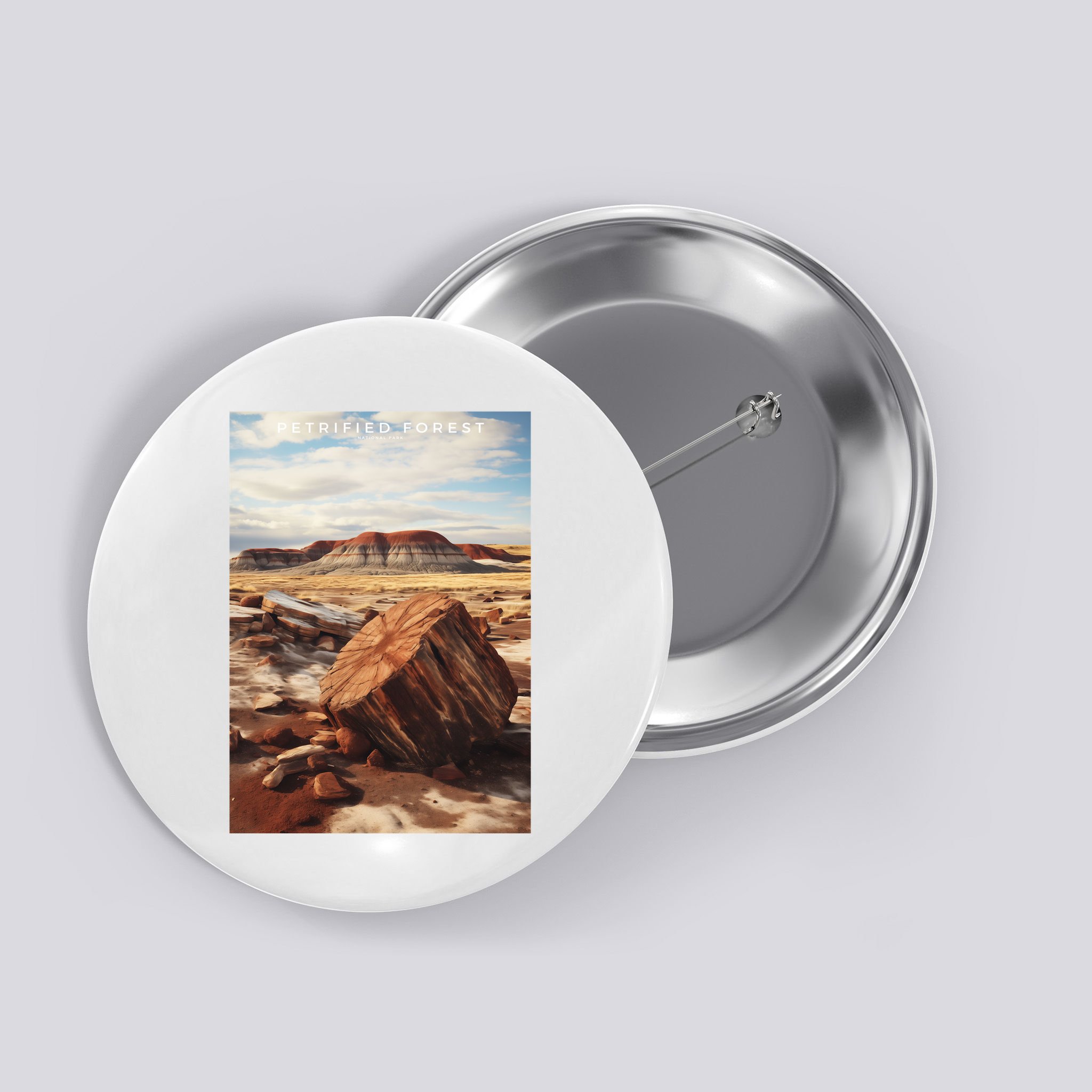 Petrified Forest National Park Button