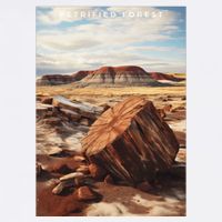 Petrified Forest National Park Button