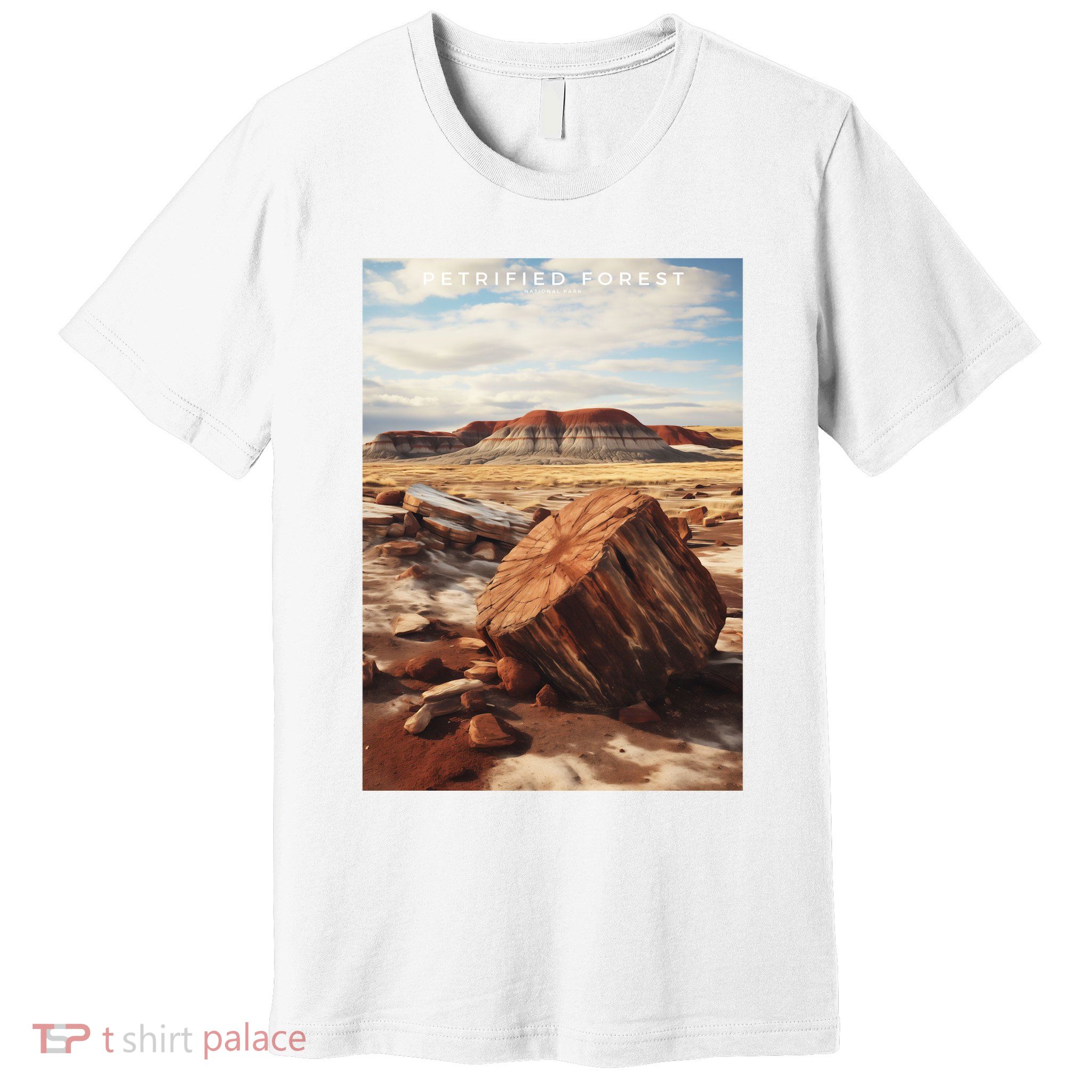 Petrified Forest National Park Premium T-Shirt