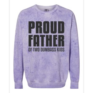 Proud Father Of Two Dumbass Fathers Day Gift Dad Colorblast Crewneck Sweatshirt